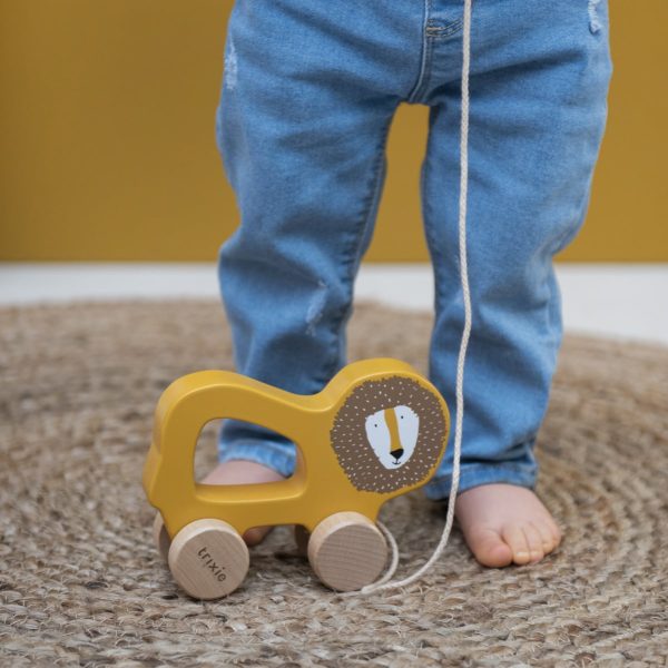 - Pack león juguetes de madera Montessori 12-18 meses Trixie